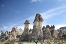 2008.10.7～19 トルコ　　　カッパドキア