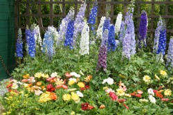 2004.4 浜名湖花博